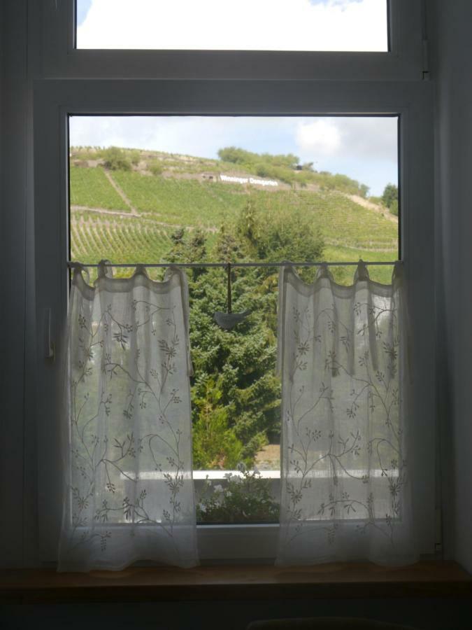Altes Weingut Weinhaus Rebstock Apartment วินนิงเงน ภายนอก รูปภาพ